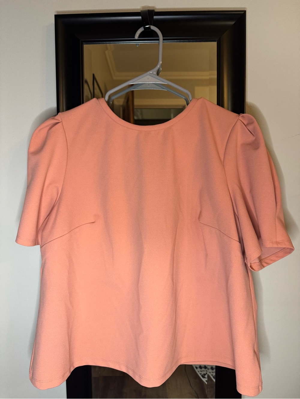 Liz Claiborne Peachy Pink Short Sleeve Top with Zipper Detail - 1x Wear to Work